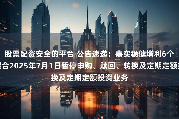 股票配资安全的平台 公告速递：嘉实稳健增利6个月持有混合2025年7月1日暂停申购、赎回、转换及定期定额投资业务